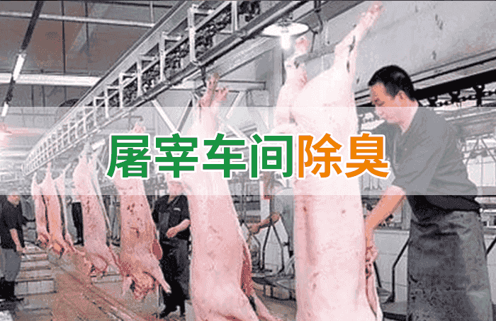 屠宰場臭氣影響周邊環(huán)境？解決辦法在這里-1
