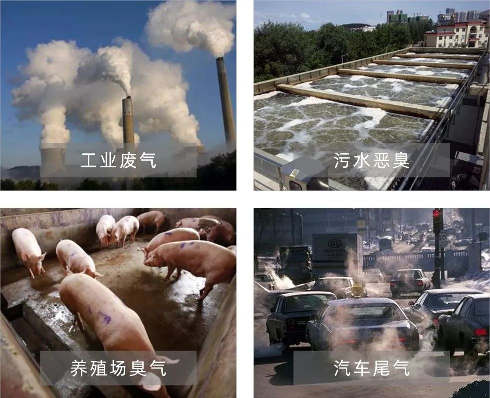 Dejing的凈工業(yè)除臭劑——解決臭味困擾的源頭！.jpg