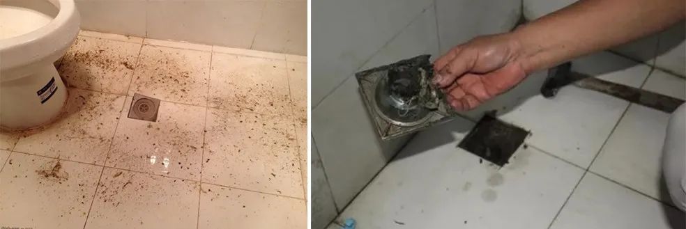 家里衛(wèi)生間老有異味，潔匠凈化教您如何解決難聞的臭味.jpg