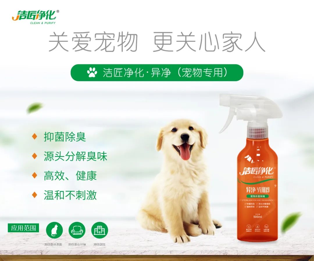 寵物氣味彌漫整個屋子，潔匠凈化教您如何除味