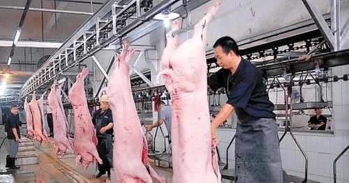屠宰場臭氣影響周邊環(huán)境？解決辦法在這里.jpg